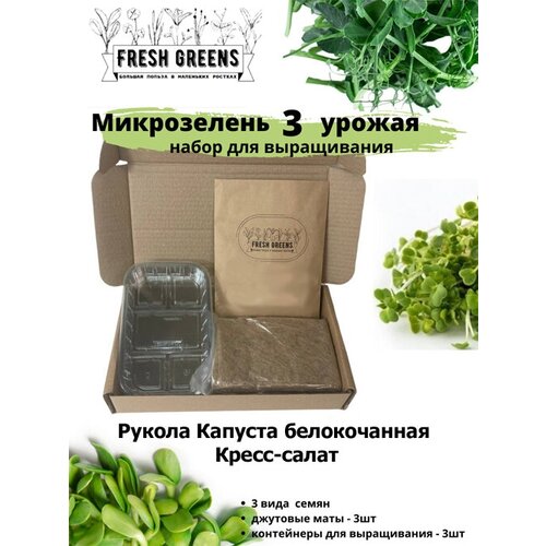 Микрозелень для выращивания Набор Fresh Greens (Рукола Капуста белокочанная Кресс-салат) 386р