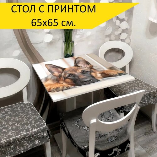 ���� 