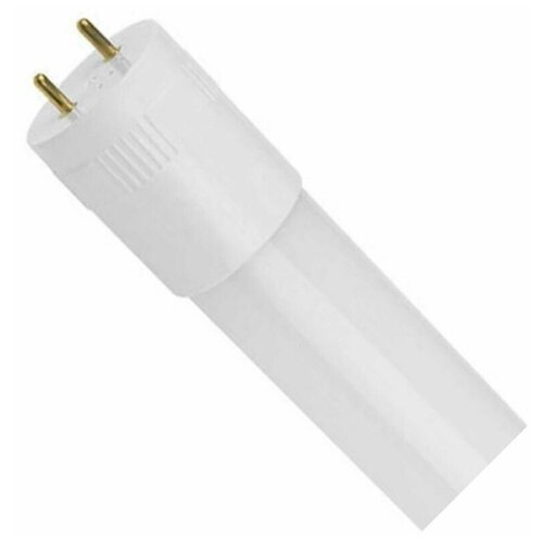   Camelion LED20-T8-120/865/G13 2 542