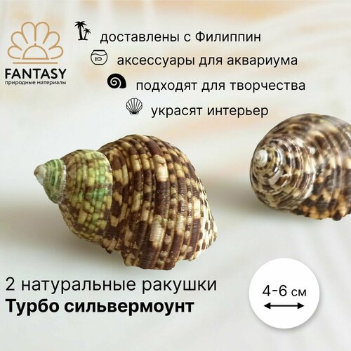    FANTASY  ,       , 4-6 , 2 . 280