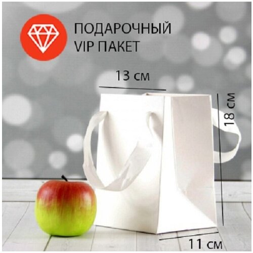 ����� 13x18x11 ����� ����� ������ VIP - 1��. 249�