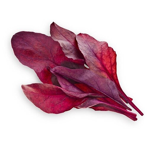   Click And Grow Red Chard Plant Pods 3 .    Click And Grow    1988