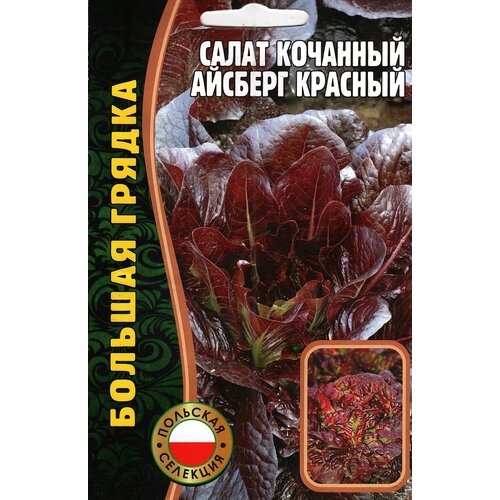 Салат кочанный айсберг красный, семена ( 1 уп: 1000 семян 159р