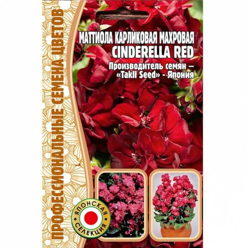     Cinderella Red (5 ) 199