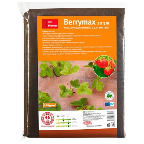     Berrymax 13,  3555  GARDEN SHOW