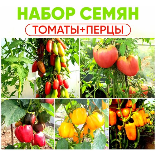 Семена томатов, семена перца сладкого, набор семян Томаты, Перцы 450р
