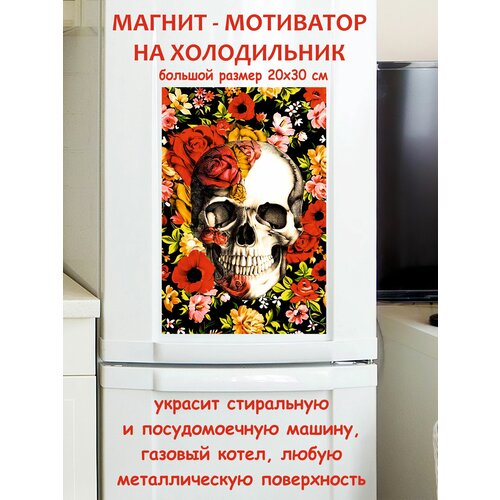 ����� ������ ������ �� ����������� 20 �� 30 �� 790�