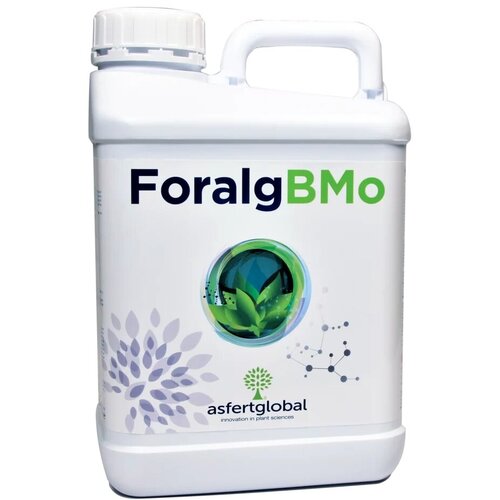 ��������� ��� �������� ������� ����������� (Foralg Bmo Asfertglobal), 1 � 5699�