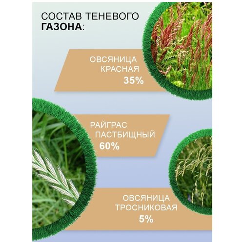 Семена газонных трав Мираторг Теневой газон 0,5 кг 428р