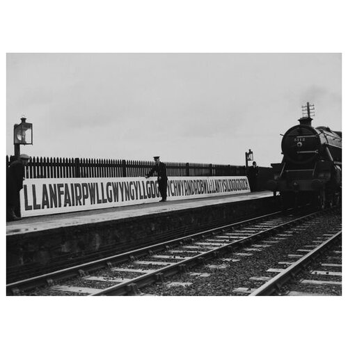 ������ �� ������ ����� �5 41��. x 30��. 1260�