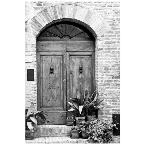          (Potted plants near the door) 50. x 75.,  2690   