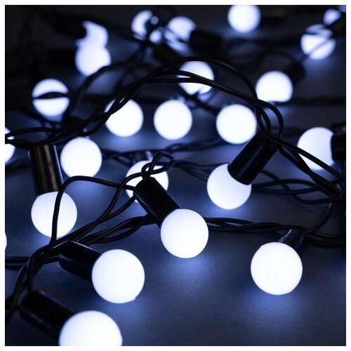   10     1.5 , Ip44,  , 100 Led,  , 8  1060