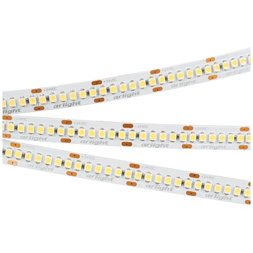  RT6-3528-240 24V Day4000 4x (1200 LED) (arlight, 19.2 /, IP20) 4845