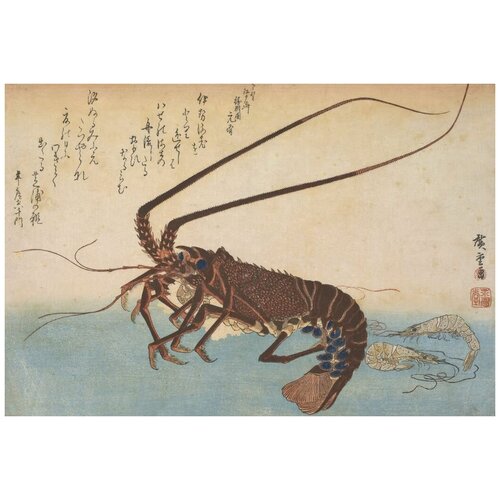      (1832-1833) (Woodblock print from the Large Fish Series: Ise-ebi: Crawfish or Spiny Lobster and Ebi: shrimp)   74. x 50.,  2650   