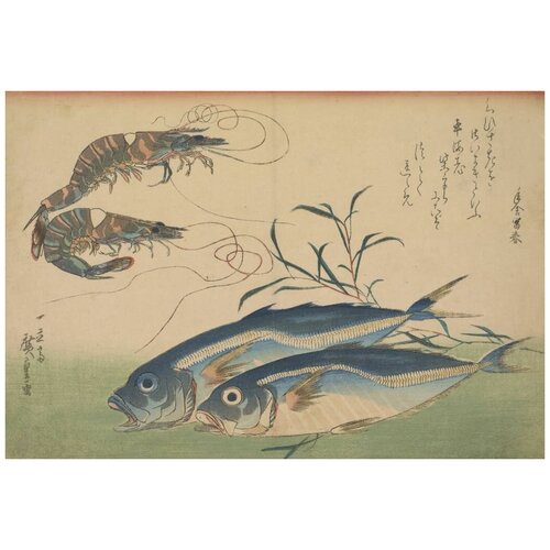        (1832-1833) (Horse Mackerel (Aji) with Shrimp or Prawn, with inscription)   44. x 30.,  1330   