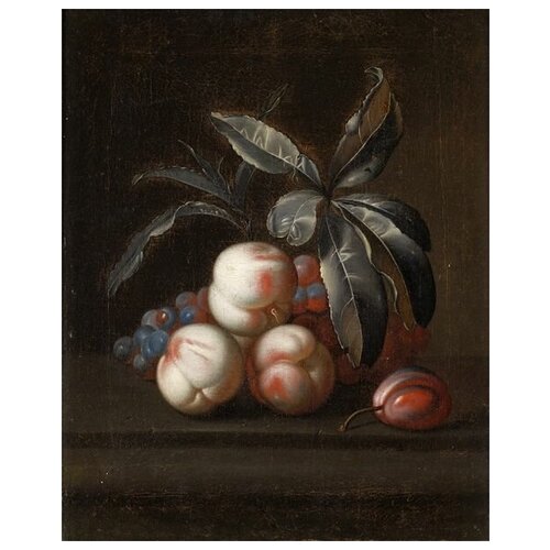      (Peaches) 5 40. x 50.,  1710   