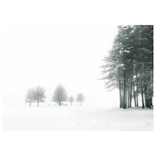      (Winter landscape) 25 71. x 50. 2580