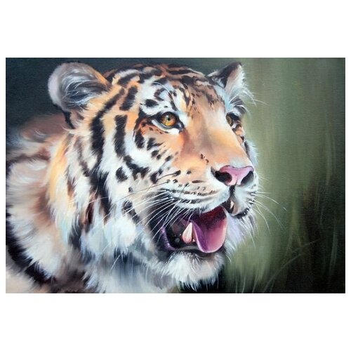      (Tiger) 11 43. x 30.,  1290   