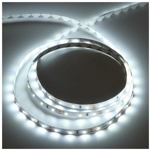   Ecola PRO 5 , IP20, SMD2835, 60 LED/, 8 /, 12 , 6000 530