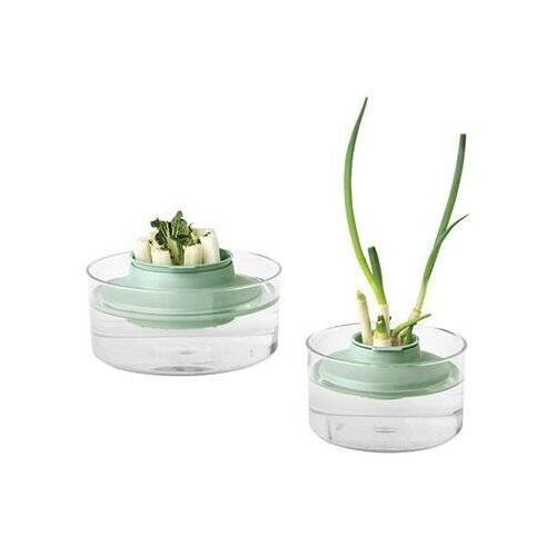 ����� ��� ������������ ������ Brabantia Tasty+ 124402 7729�