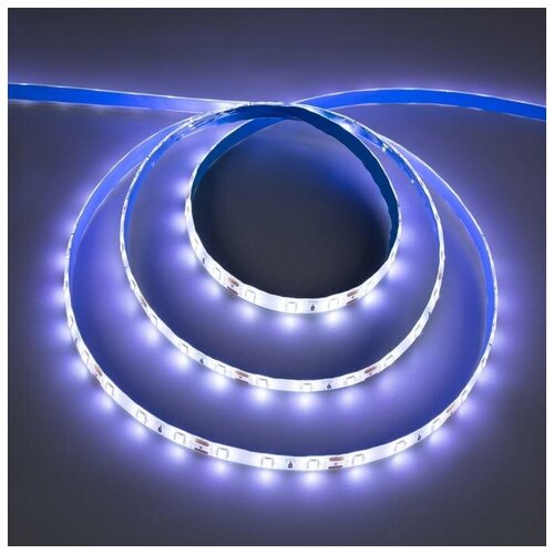 C  Ecola PRO 5 , IP65, SMD2550, 60 LED/, 19 /, 12 , 6000 1045