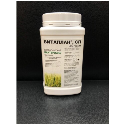 ��������, �� ������������� �������� �� ������ ���������� Bacillus subtilis, 200 �� 3000�
