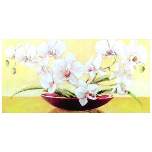     (Orchid) 1 60. x 30. 1650