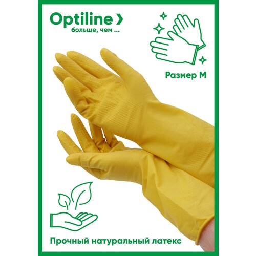    Optiline,  M, 12    528