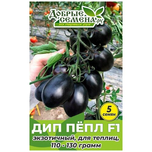 Семена томата Дип Пёпл F1 - 5 шт - Добрые Семена.ру 384р