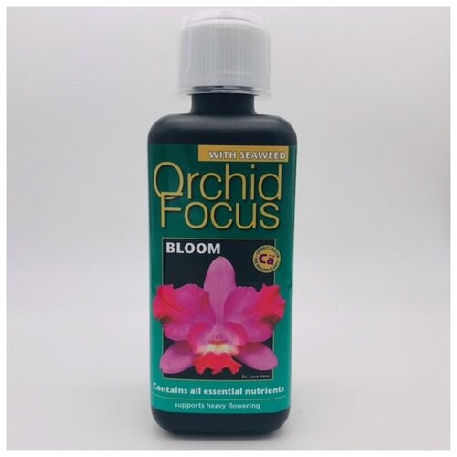 ��������� ��� ������� Orchid Focus Bloom ����� 300�� 1450�