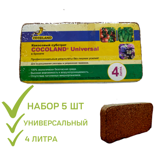     Cocoland Universal  5  ( ) 4  900