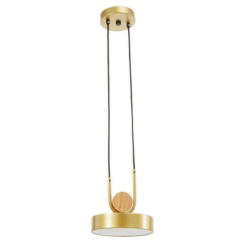 ���������� 35425/1 LED 24�� 3000-6000� ������� 18�18�20 �� 4887�