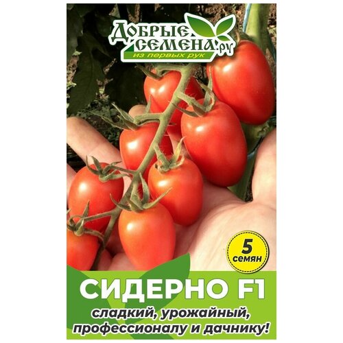 Семена томата Сидерно F1 - 5 шт - Добрые Семена.ру 156р