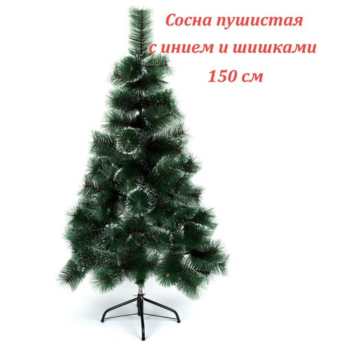 ����� ������������� �������� � ����� � ������� 150 ��. 2700�