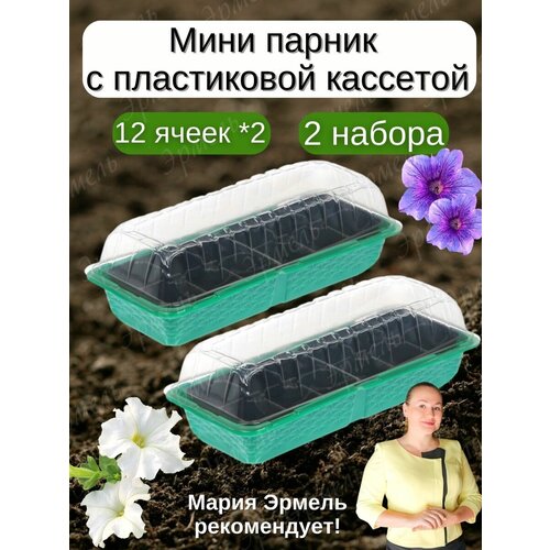 ���� ������ �� ���������� / ������ ��� ������� �� ���� 484�