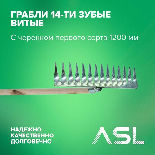 ������ ����� 14-����� �� 282�