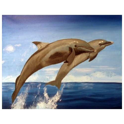     (Dolphins) 1 38. x 30. 1200