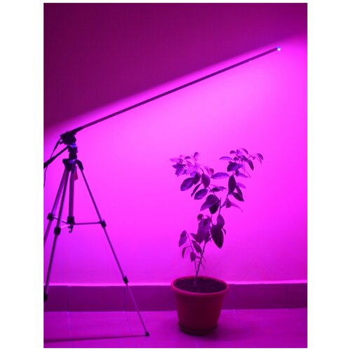 LED ���������� ��� �������� �� ������� 