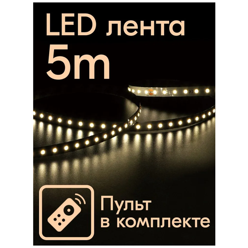   LED    ,  979   