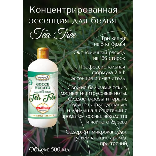 ���������������� �������� ��� ����� � �������� ������� ������ 500�� Tintolav 2500�