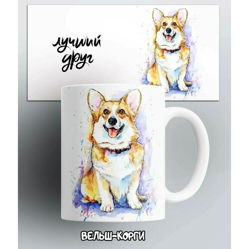    -Welsh Corgi   -dogs , 330 , 1  288