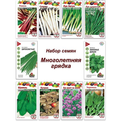 Набор семян, многолетняя зелень и травы, лук, щавель, мята, ревень и др 499р