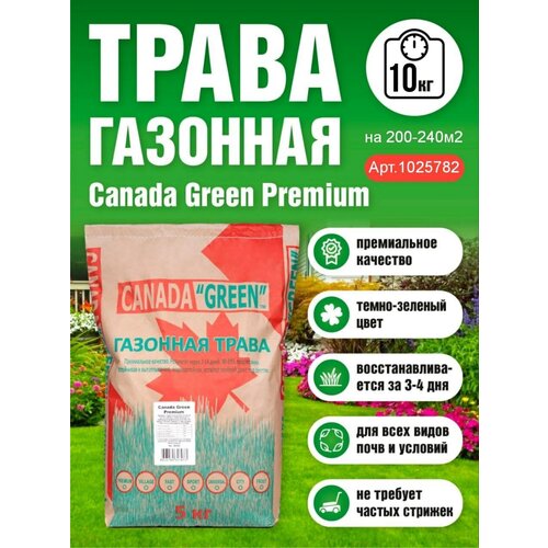 Газонная трава семена 10 кг, газон Премиум, Канада Грин семена газона 3976р