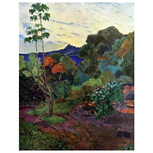      ,  (The tropical vegetation, Martinique)   30. x 39.,  1210   