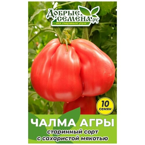 Семена томата Чалма Агры - 10 шт - Добрые Семена.ру 144р