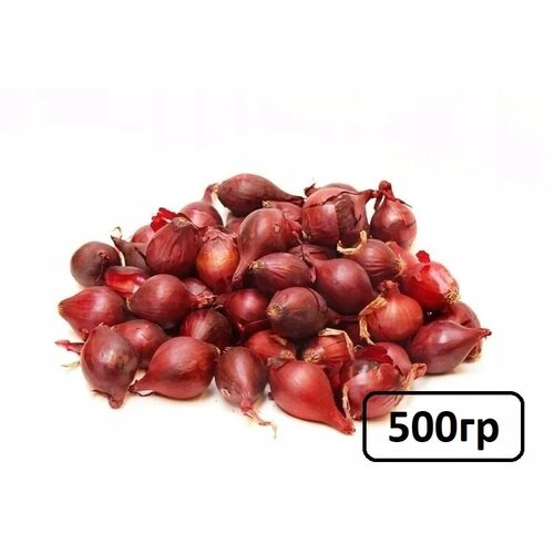 Семена лук-севок Ред Барон 0.5 кг 299р