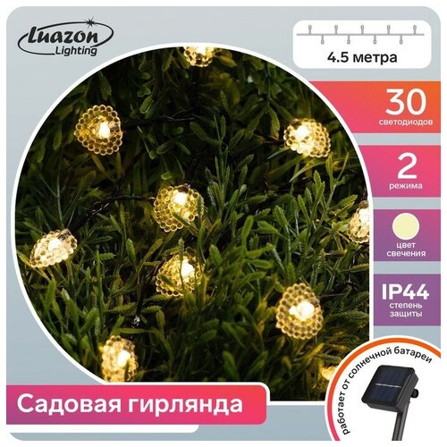 Luazon Lighting   4.5    , IP44,  , 30 LED,  , 2 ,   925