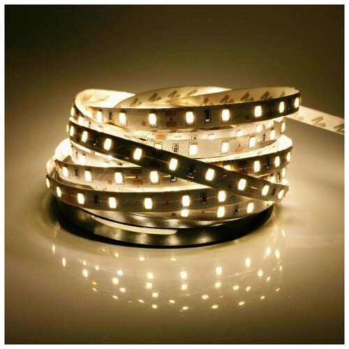    SMD 5360, 60 /, , 12 , : , IP33 5. -  :  3000-3500K,  2200  CLEVERLIGHT