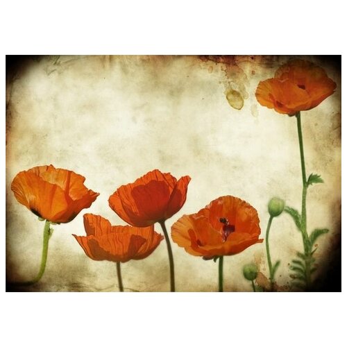     (Poppies) 6 57. x 40. 1880