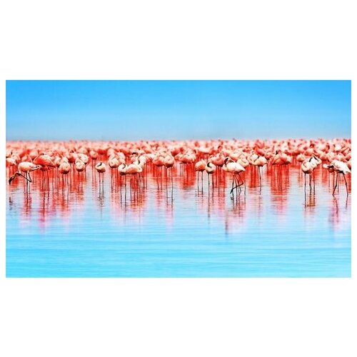     (Flamingo) 1 52. x 30. 1480